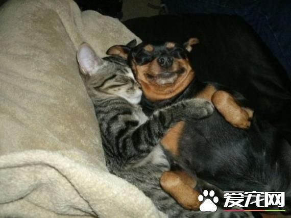 走开，我鼻子要压扁了