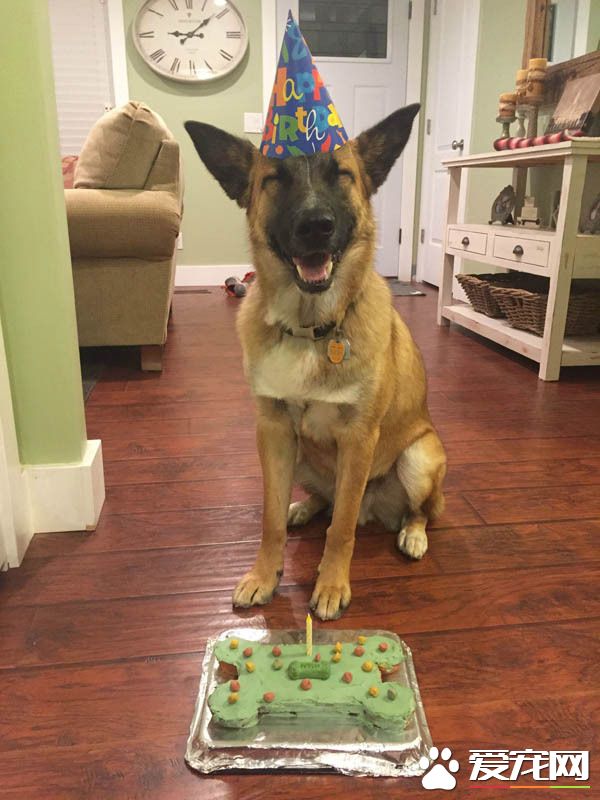 过生日真是开心极了