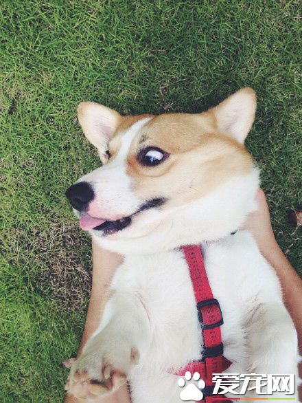 禽兽！你放开我！