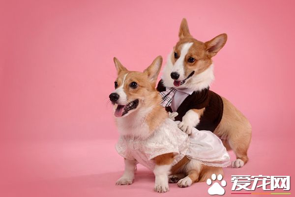 老婆，我这按摩的力道还可以吧？