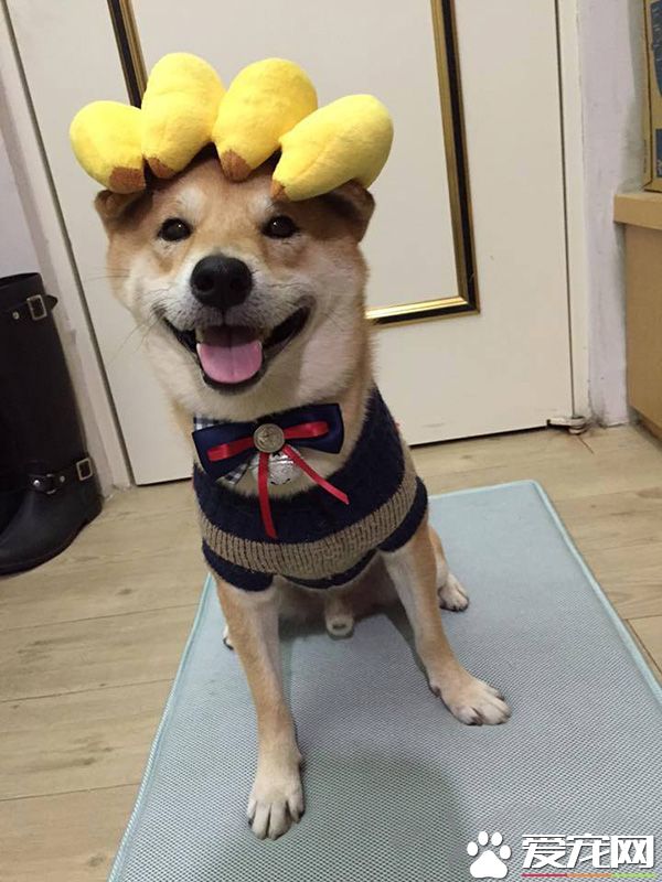 主银给我弄的新发型，感觉自己萌萌哒