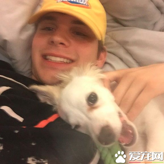 钥匙忘在餐厅 男子为爱犬竟破门而入