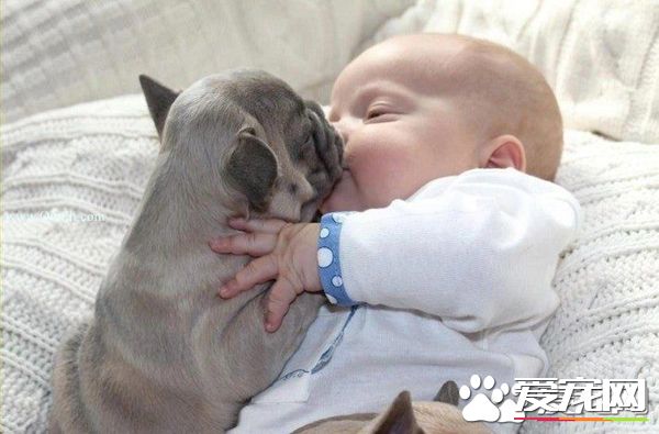 小孩子被小狗咬了怎么办 先给孩子冲洗伤口