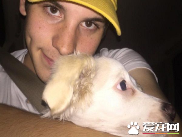 钥匙忘在餐厅 男子为爱犬竟破门而入