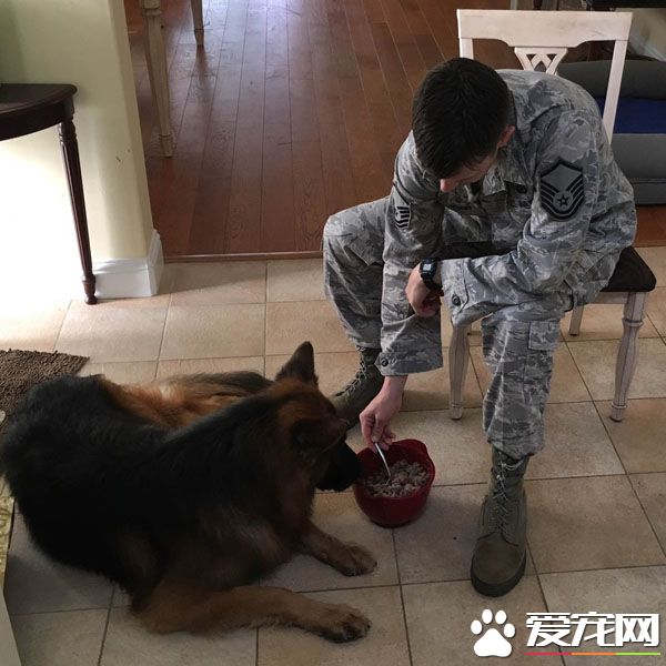 男子声称不想养宠物 现在竟然一口一口喂爱犬吃饭