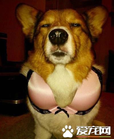 主淫，这不适合我