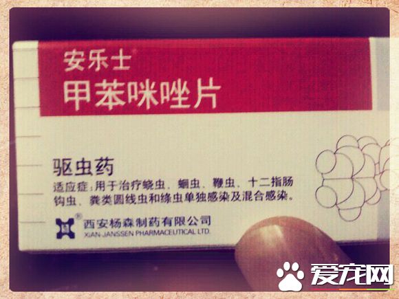 人吃的打虫药狗可以吃吗 吃了打虫药的反应