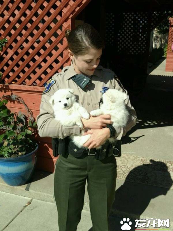 警方接获民宅警报 到现场两名嫌犯竟一脸呆萌