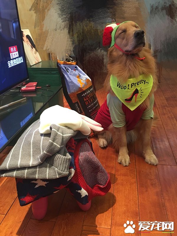 今天不知道穿哪件衣服好，真的是烦恼