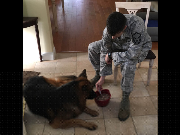 男子声称不想养宠物 现在竟然一口一口喂爱犬吃饭