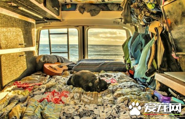 为了爱猫不惜辞去工作卖掉家当的男人