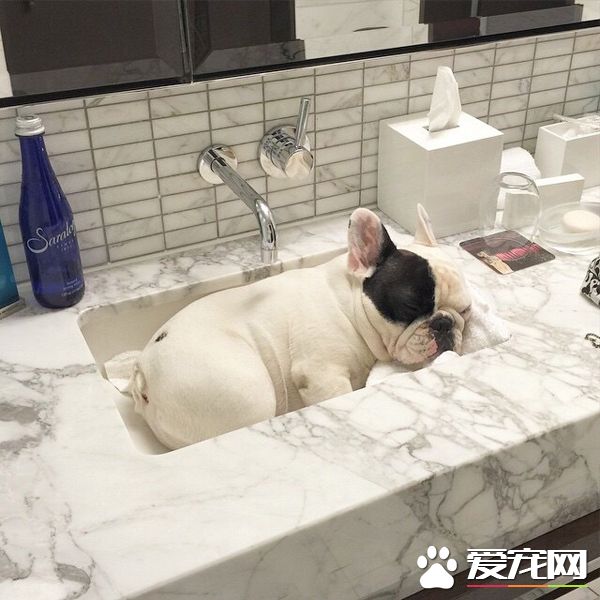 大热天这样睡觉最凉爽了