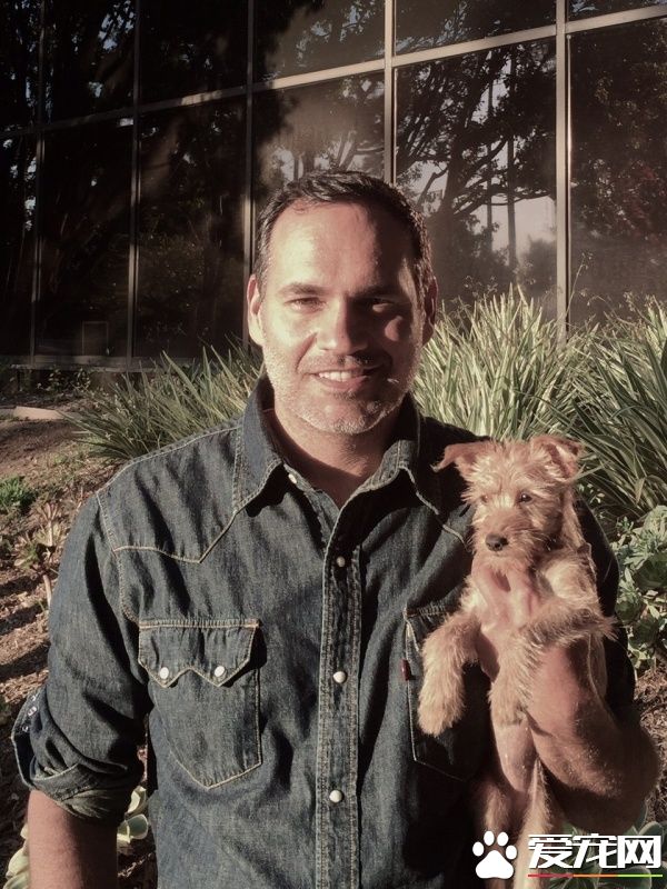 三个好朋友计划去看球赛 结果领养了一只狗狗回家