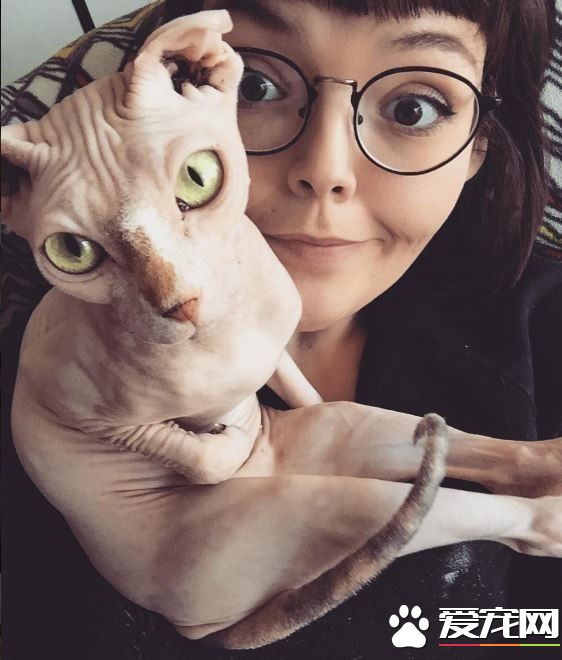 无毛猫咪陪伴失恋女生 帮她走出最痛苦的阶段