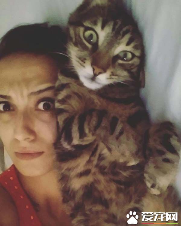 女子播放猫咪放松音乐给主子听 结果一点也不放松啊