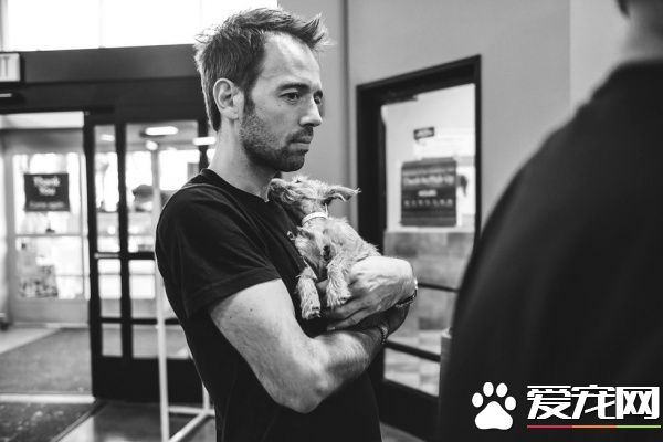 三个好朋友计划去看球赛 结果领养了一只狗狗回家