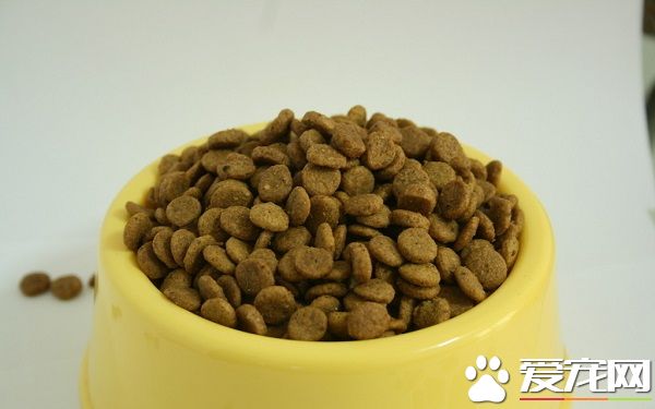 幼犬什么时候吃干狗粮 科学的喂养狗狗才更健康