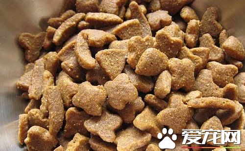 三个月的狗狗可以吃干狗粮吗