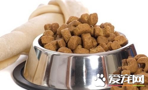 什么狗粮最好吃 幼犬阶段吃什么狗粮
