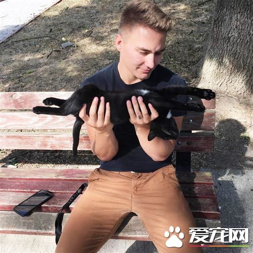 猫咪日日站岗守候 美国大兵终被它征服