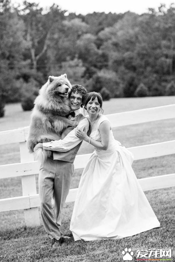 青梅竹马的他们决定领养老狗狗 举办超温馨的婚礼