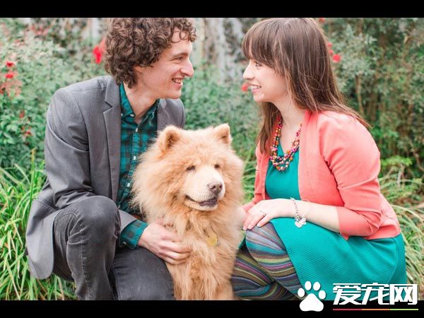 青梅竹马的他们决定领养老狗狗 举办超温馨的婚礼