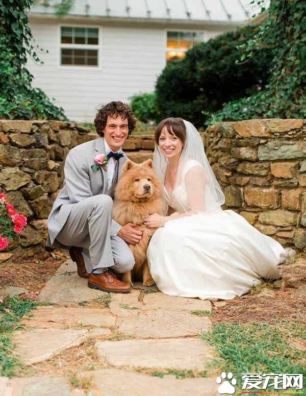 青梅竹马的他们决定领养老狗狗 举办超温馨的婚礼