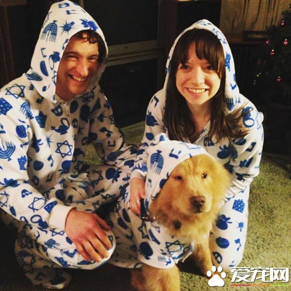 青梅竹马的他们决定领养老狗狗 举办超温馨的婚礼