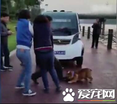 两女子和一条狗围攻老人 警方：因狗打架 