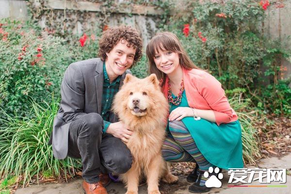 青梅竹马的他们决定领养老狗狗 举办超温馨的婚礼