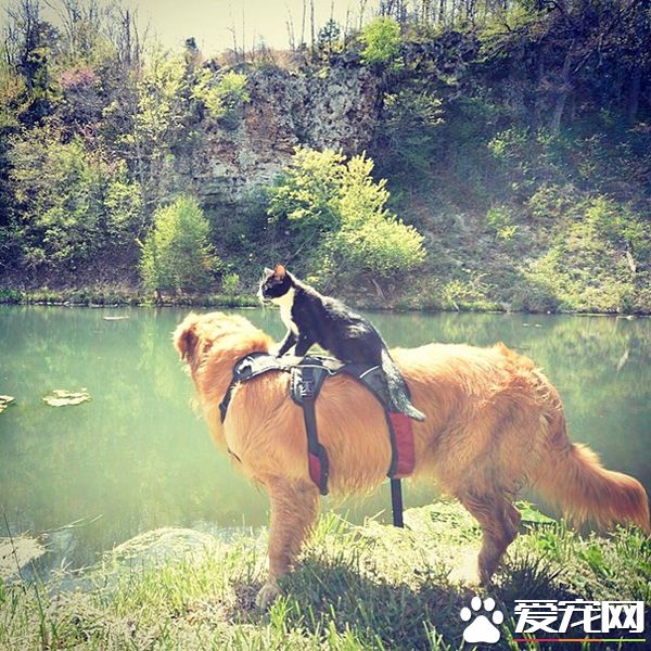 带着友情一起去旅行