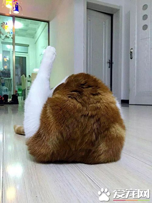 天线搭设完毕，准备与母星取得联系