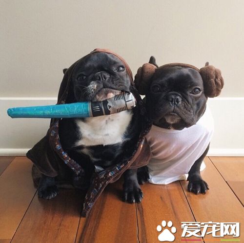 小子，大哥带你去闯江湖