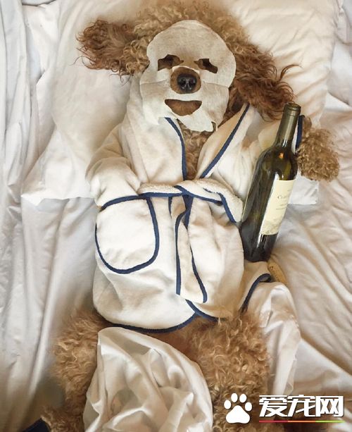 这才是属于单身狗的假期