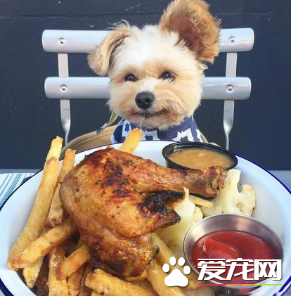 狗狗最幸福的时刻