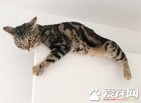 纳尼，躲在这居然也被发现了