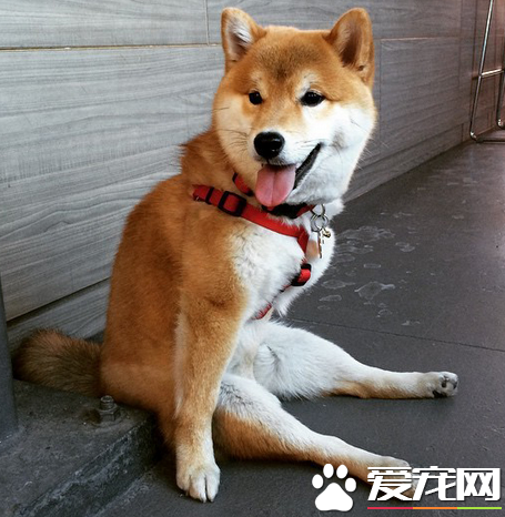 腿长就是任性，这坐姿也是醉了