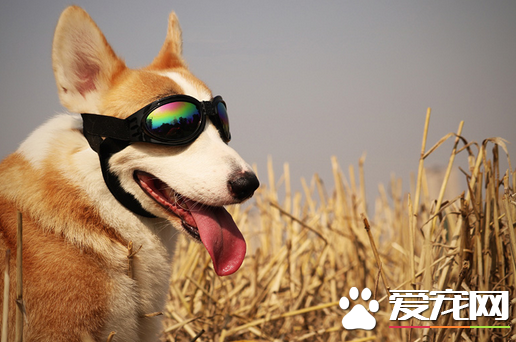 出来浪当然要装备齐全