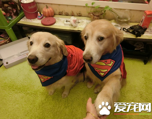 地球人，你们的星球就交给我们兄弟俩来守护吧