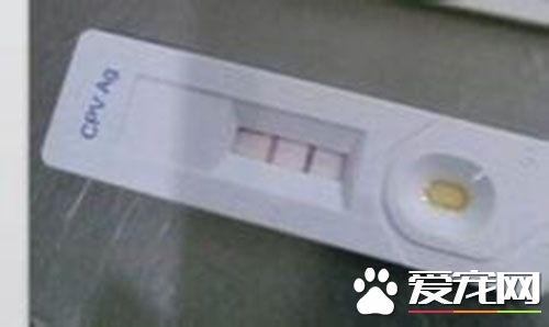 细小试纸怎么用 细小试纸怎么看