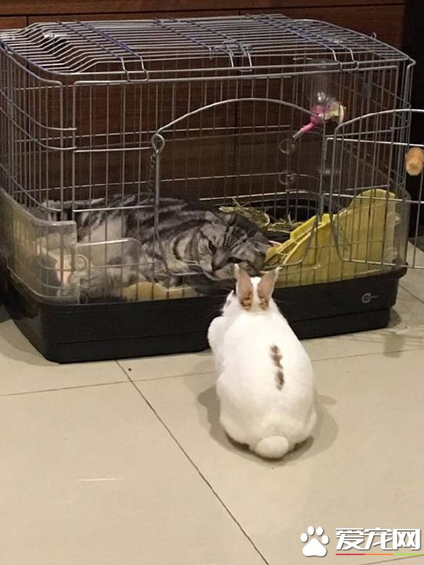 借个窝，让朕休息一会