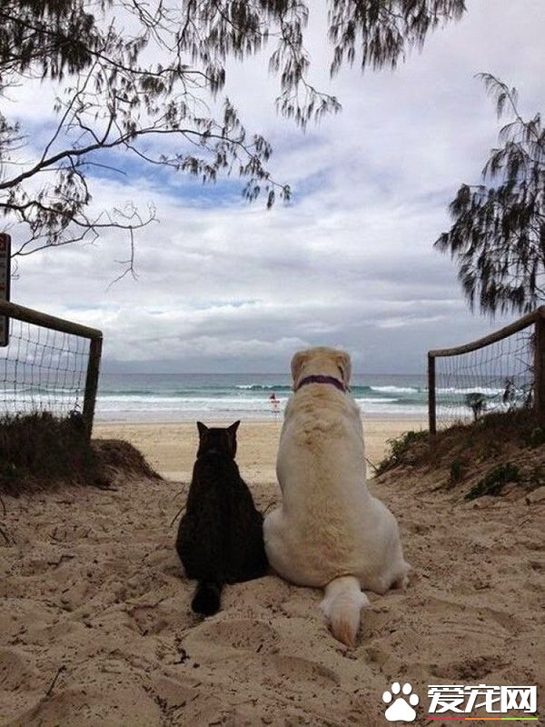 陪你去看天涯海角