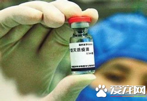 狂犬疫苗一般多少钱 人用狂犬疫苗是270到300左右