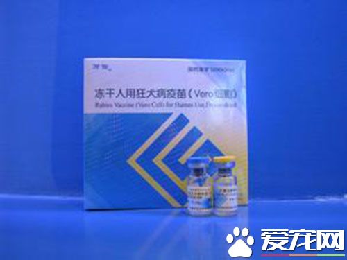 孕妇能不能打狂犬育苗 狂犬疫苗属于灭活疫苗