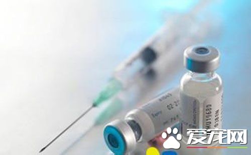 打完甲肝疫苗后发烧 要注意四周是否痛风透气