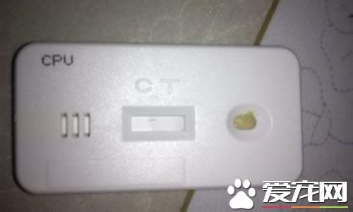 细小试纸哪里买 一般宠物医院就有卖的