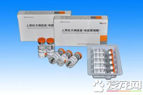 狂犬疫苗有4针的吗 西方国家按四针法接种