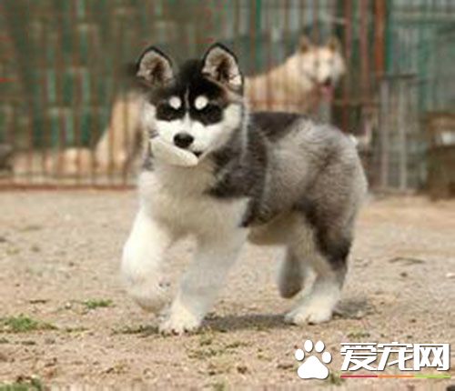 细小支气管炎 细支气管炎的治疗方法