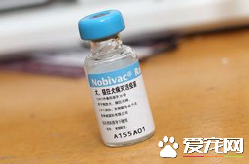 狂犬疫苗的症状 偶尔有部分人会出现皮疹