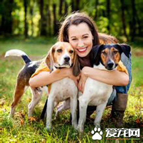 细小特效药 细小病毒都都可以用什么药治